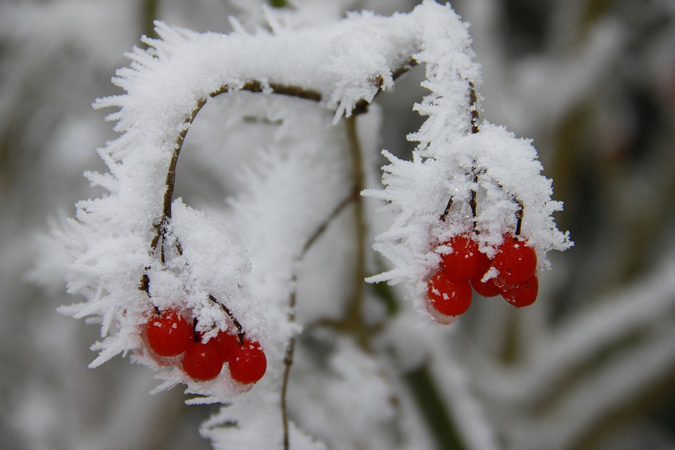 winter-3102322_960_720